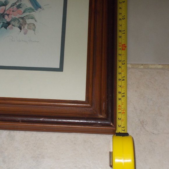 Gorgeous Bird print signed, matted & professionally framed in wood frame - Picture 3 of 6